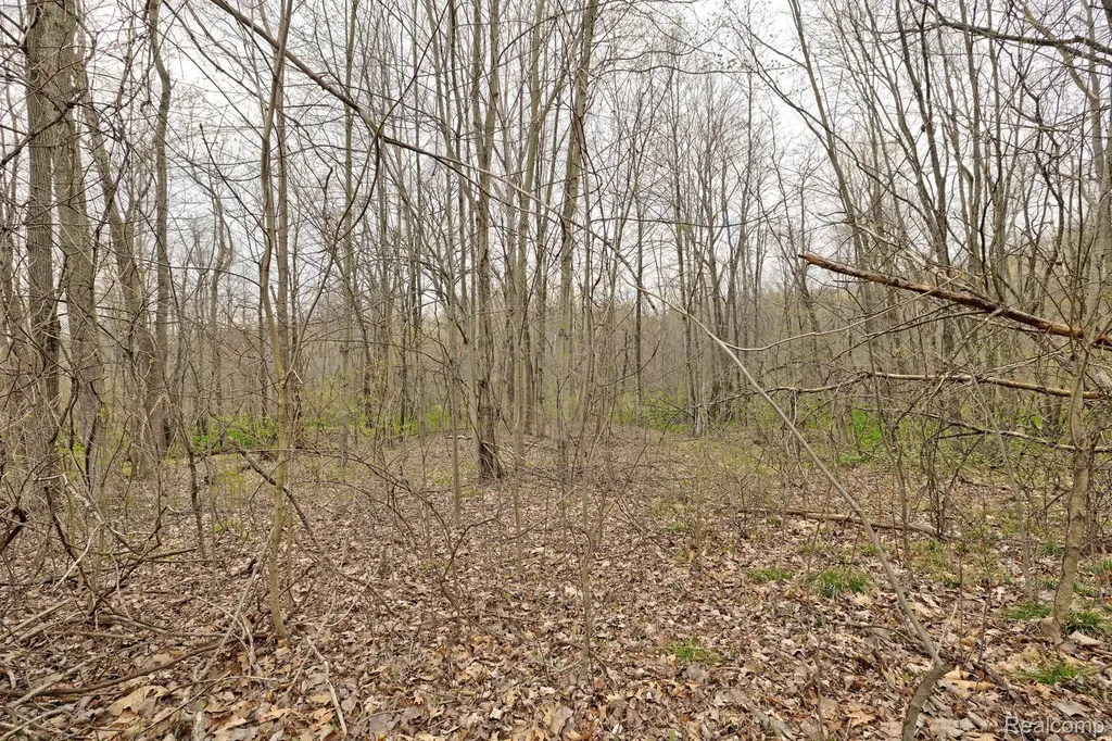 207 Astor Knolls Drive Groveland Township MI 48462