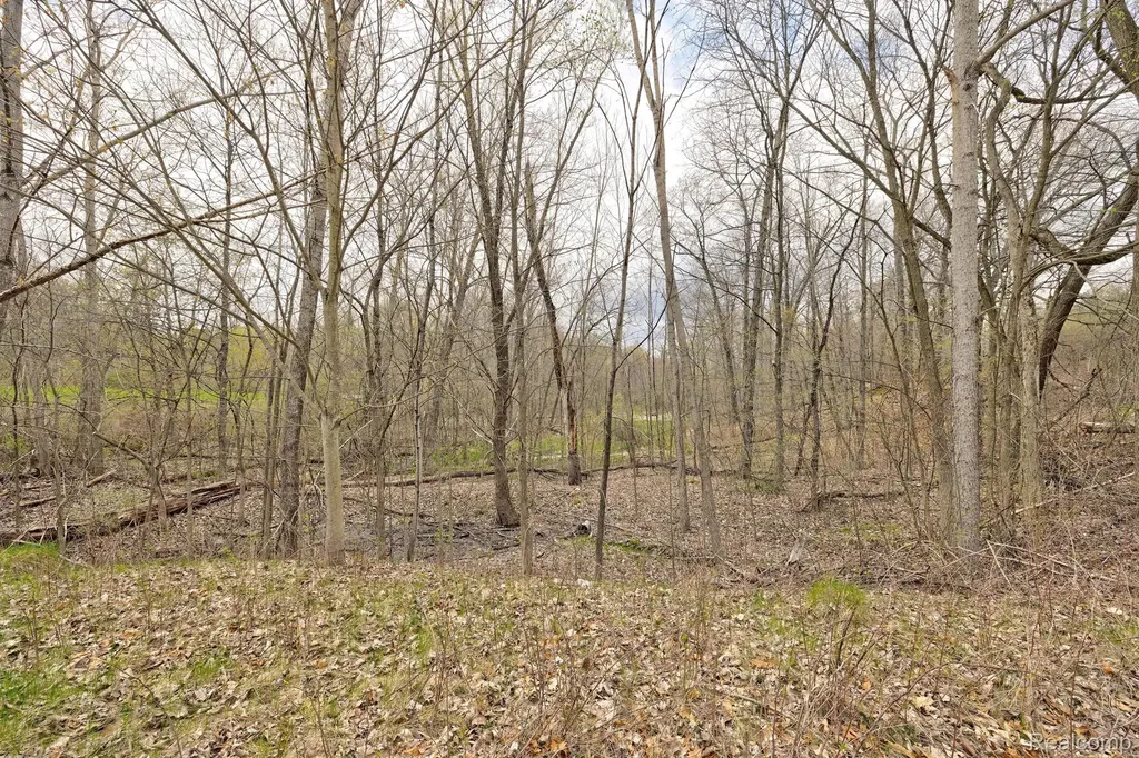 207 Astor Knolls Drive Groveland Township MI 48462