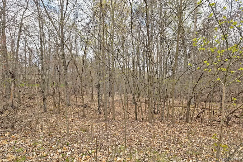 207 Astor Knolls Drive Groveland Township MI 48462