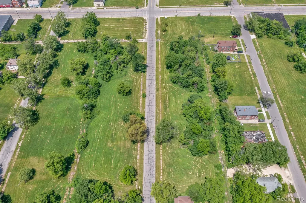1526 Dickerson Street Detroit City MI 48215