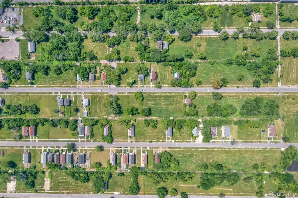 1526 Dickerson Street Detroit City MI 48215