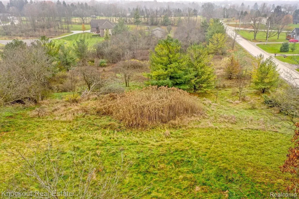 9338 Orchard Valley Lane Davison Township MI 48423