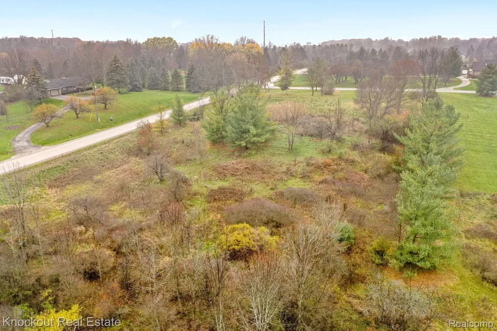 9338 Orchard Valley Lane Davison Township MI 48423