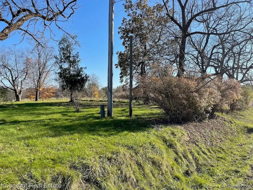 9338 Orchard Valley Lane Davison Township MI 48423