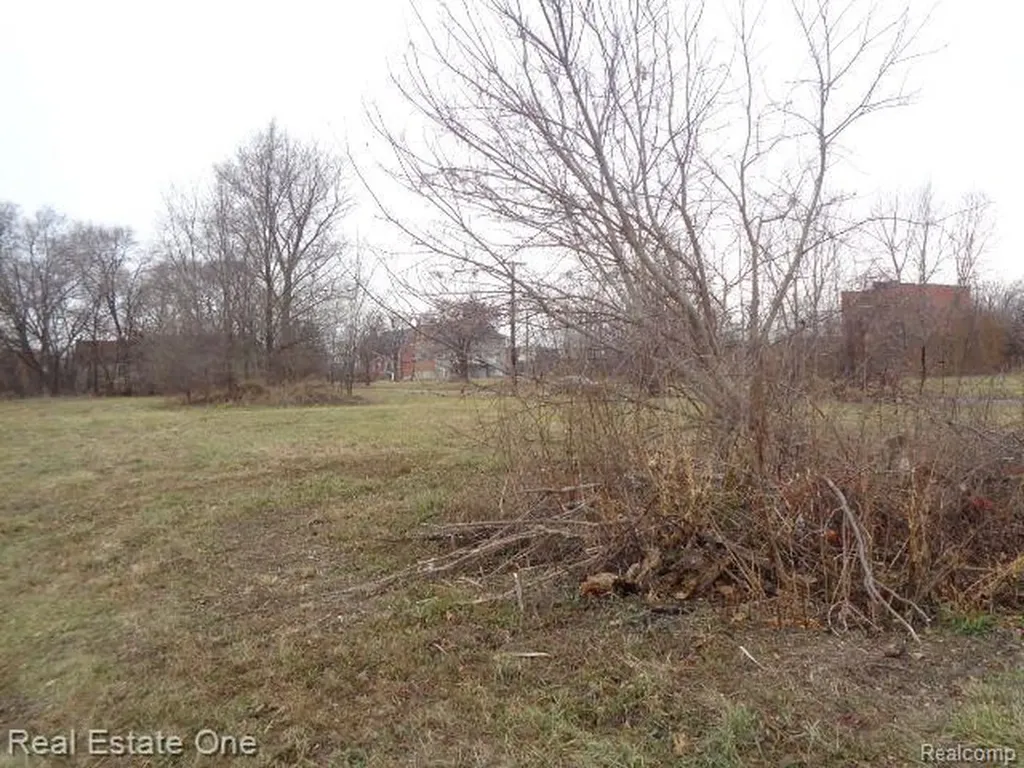 2706 Hendricks Street Detroit City MI 48207