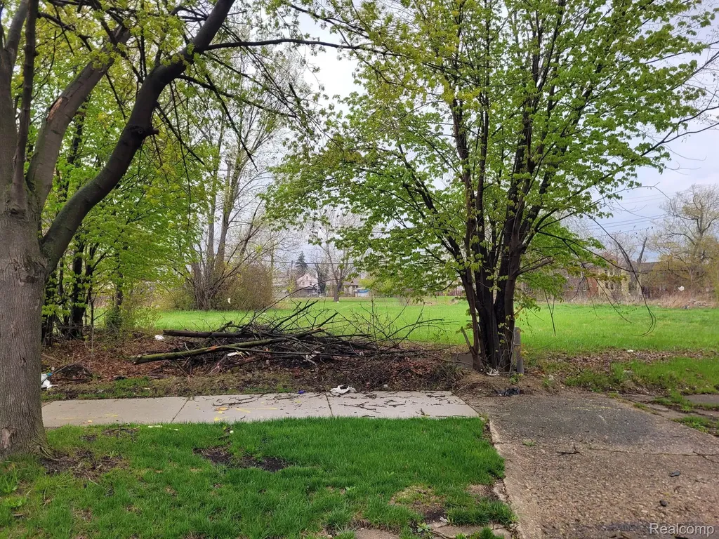 3346 Rochester Street Detroit City MI 48206