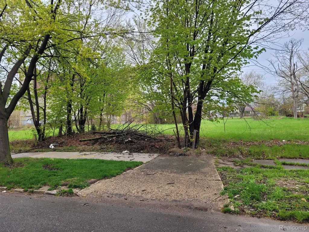 3346 Rochester Street Detroit City MI 48206