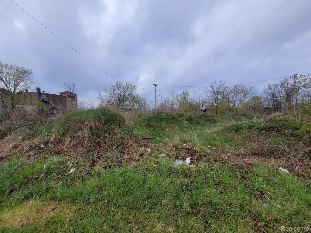 3332 Rochester Street Detroit City MI 48206