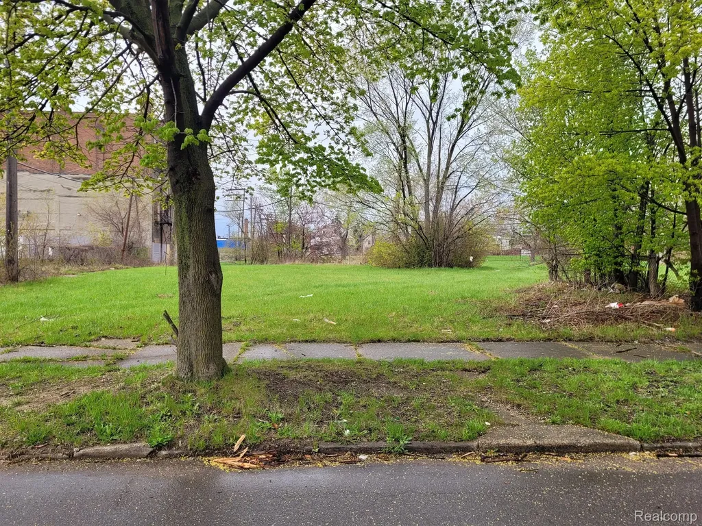 3352 Rochester Street Detroit City MI 48206