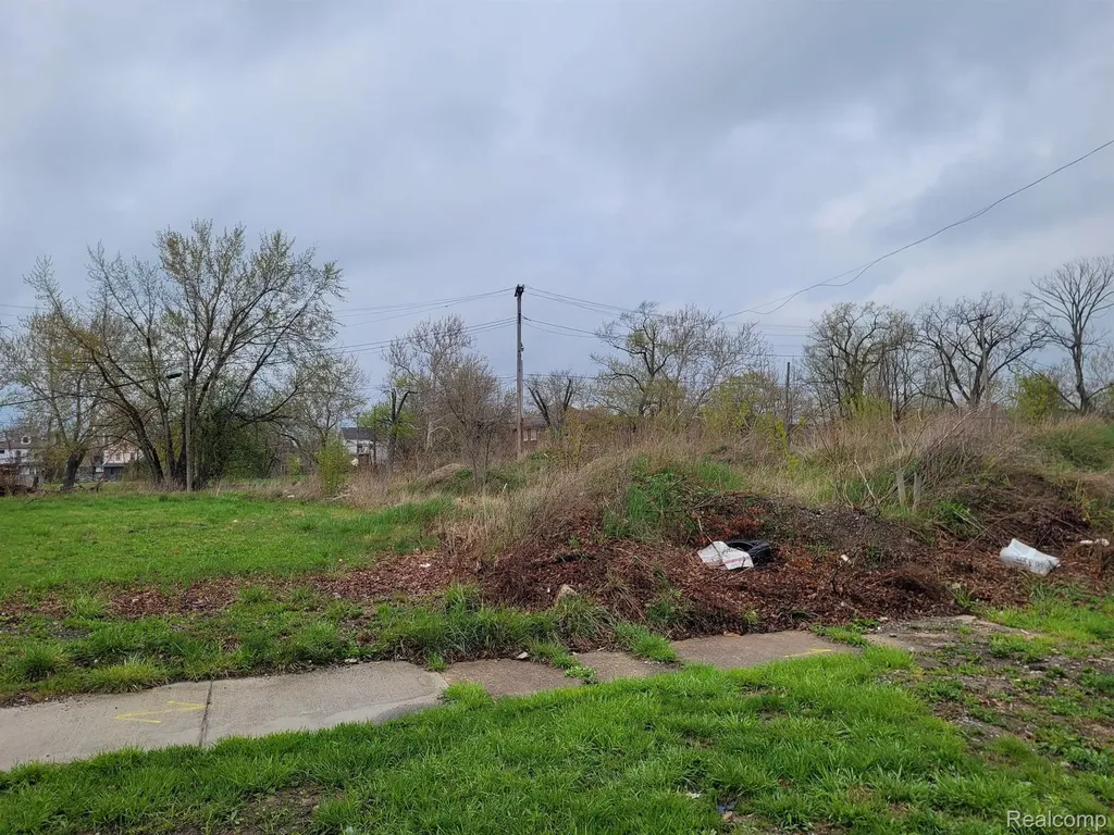 3324 Rochester Street Detroit City MI 48206