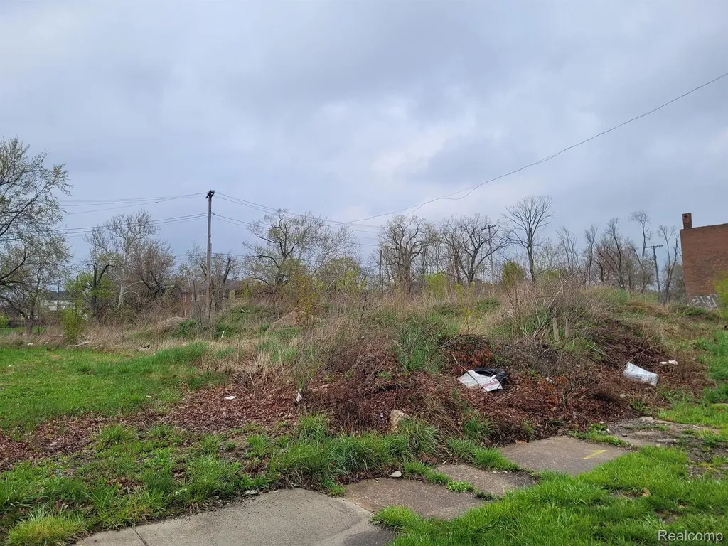 3324 Rochester Street Detroit City MI 48206