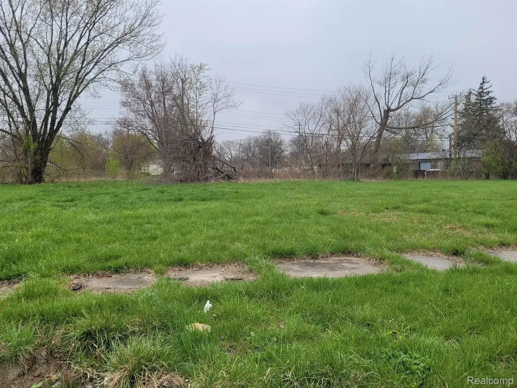 3935 Beaconsfield Street Detroit City MI 48224