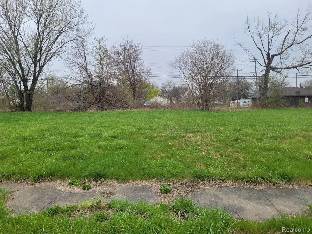 3935 Beaconsfield Street Detroit City MI 48224