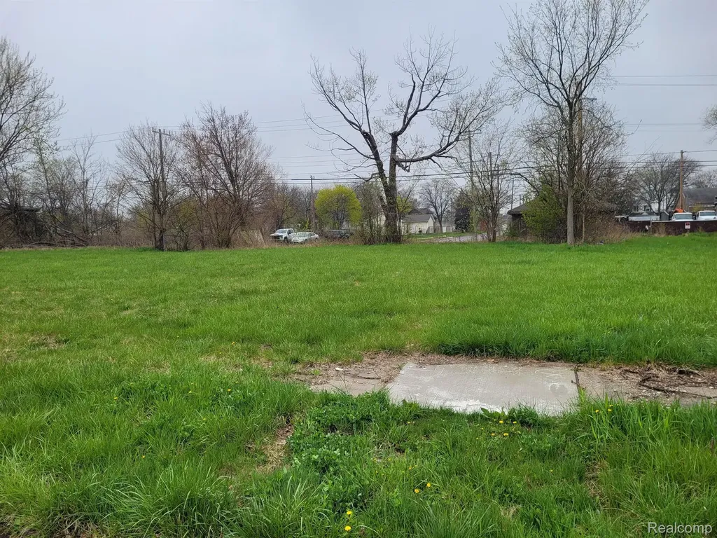 3951 Beaconsfield Street Detroit City MI 48224