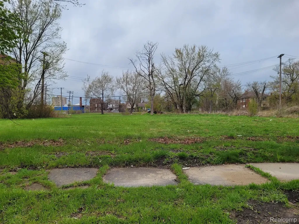 3340 Rochester Street Detroit City MI 48206