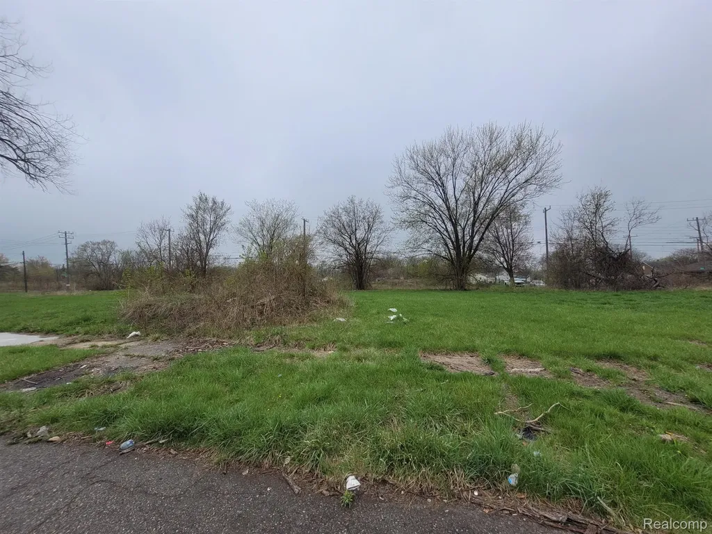 3927 Beaconsfield Street Detroit City MI 48224