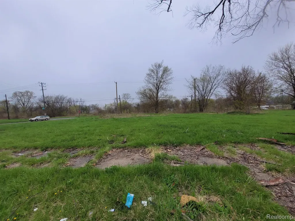 3911 Beaconsfield Street Detroit City MI 48224