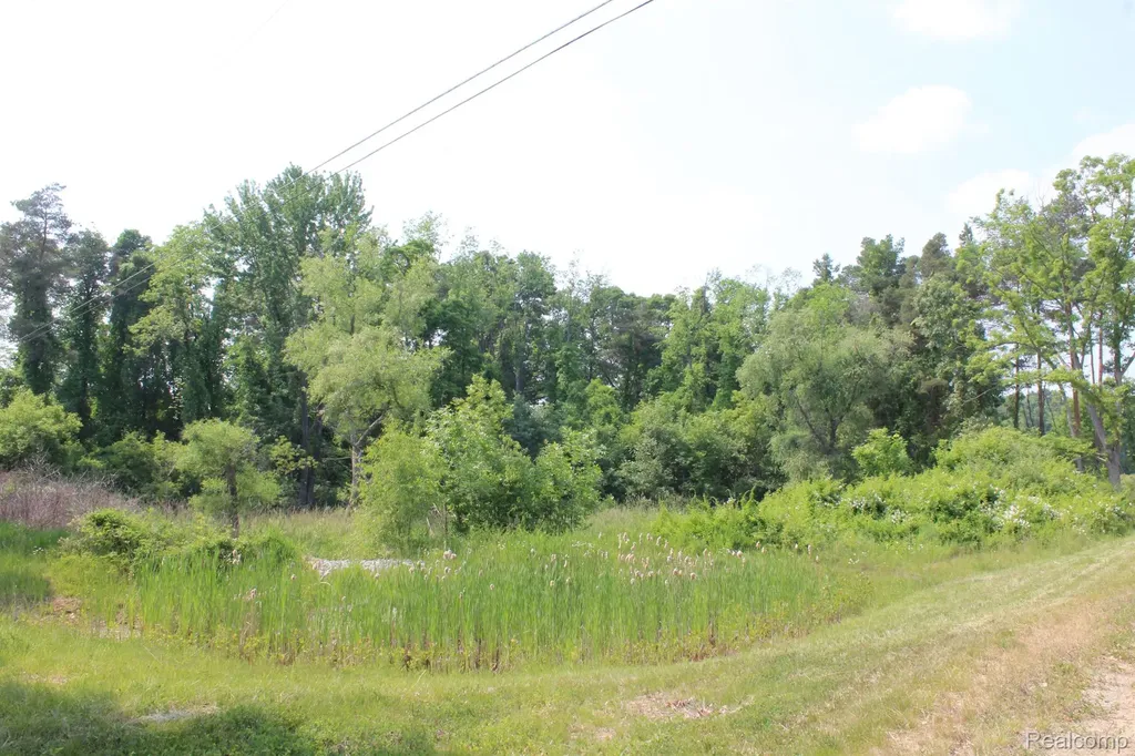 2722 Twin Oaks Drive Milford Charter Township MI 48381
