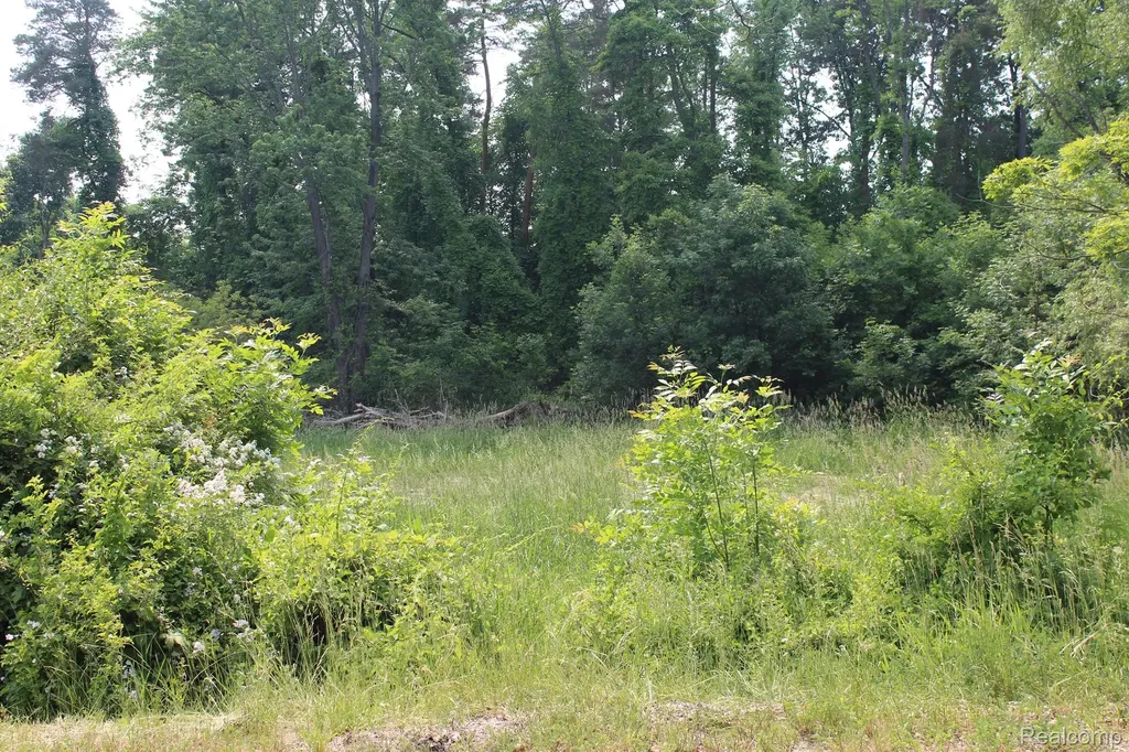 2722 Twin Oaks Drive Milford Charter Township MI 48381
