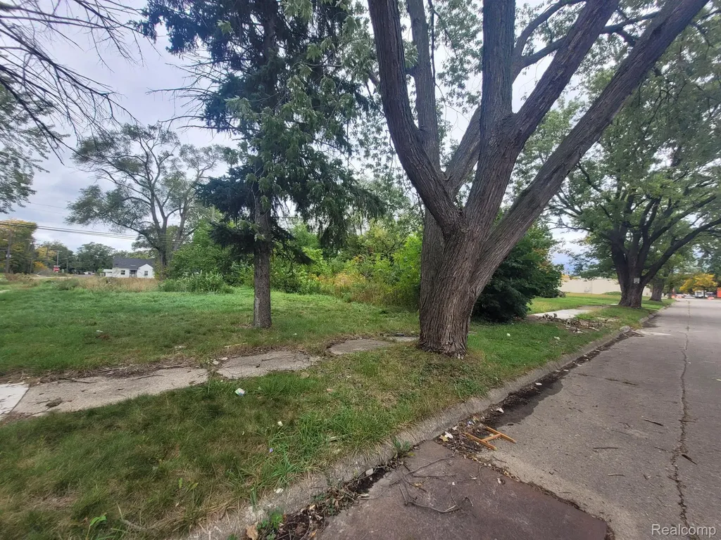 20511 Caldwell Street Detroit City MI 48234