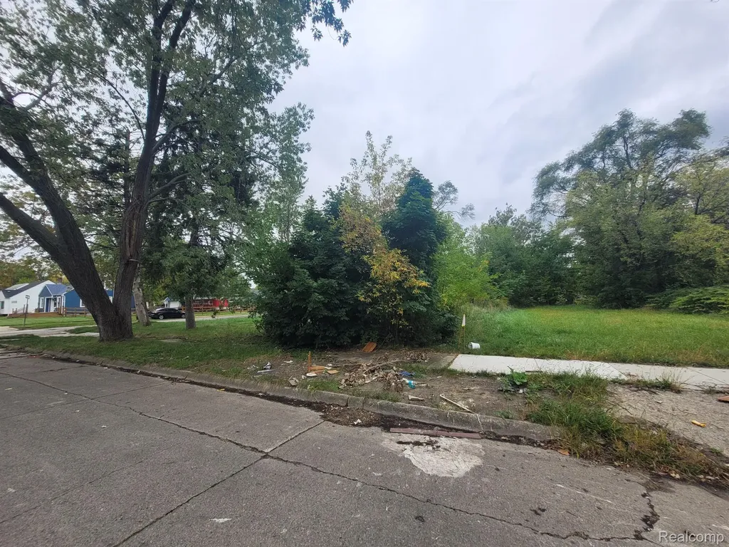 20511 Caldwell Street Detroit City MI 48234