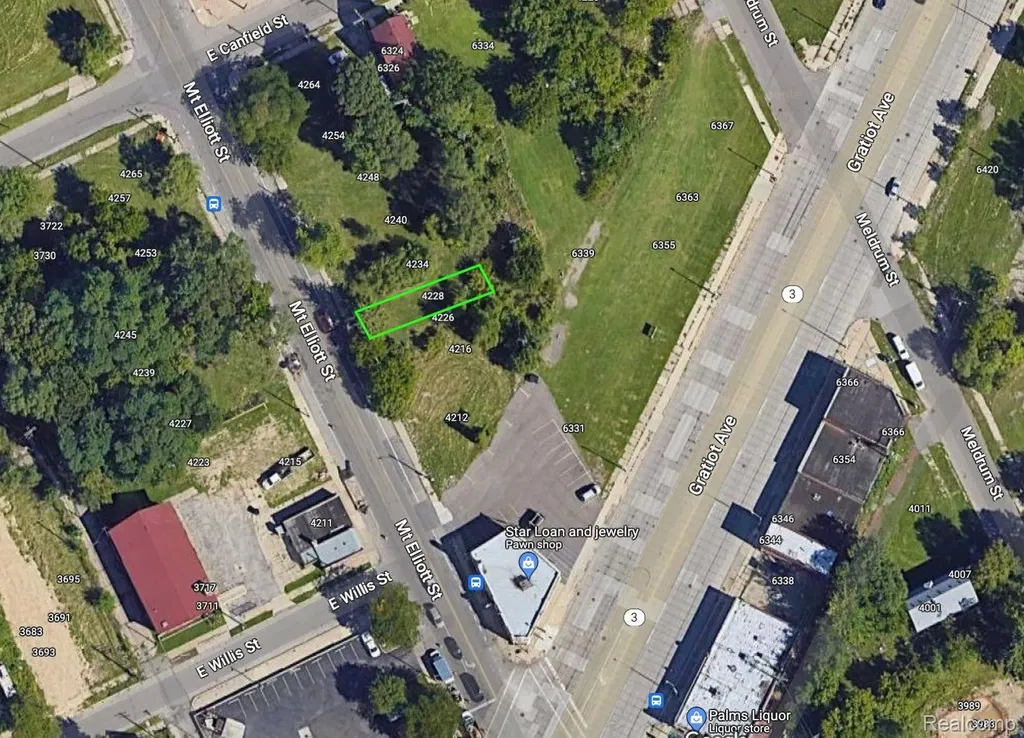 4228 Mount Elliott Street Detroit City MI 48207