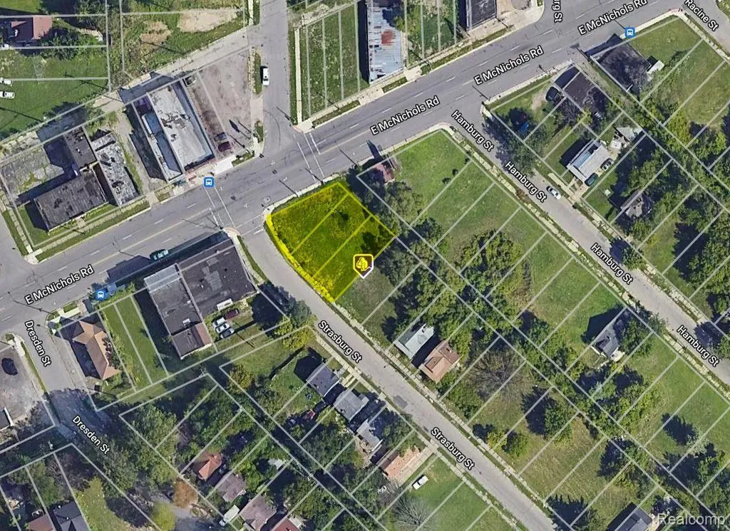 12796 Strasburg Street Detroit City MI 48205