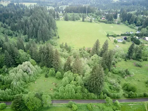 0 NE 389th Street Amboy WA 98601