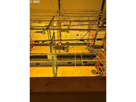 65 SE 62nd Street Newport OR 97366