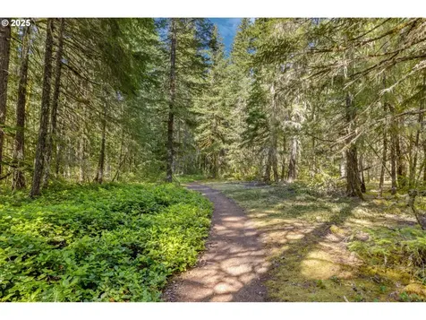75054 E Cold Springs Road Rhododendron OR 97049