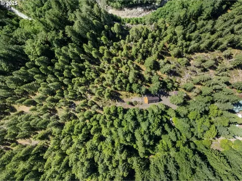 75054 E Cold Springs Road Rhododendron OR 97049
