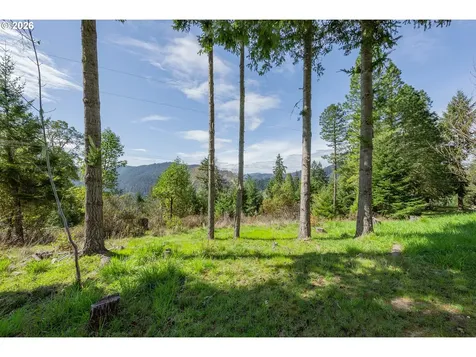 1020 Spooner Ridge Lane Oakland OR 97462