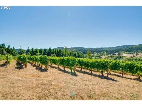 24810 NW Turner Creek Road Yamhill OR 97148