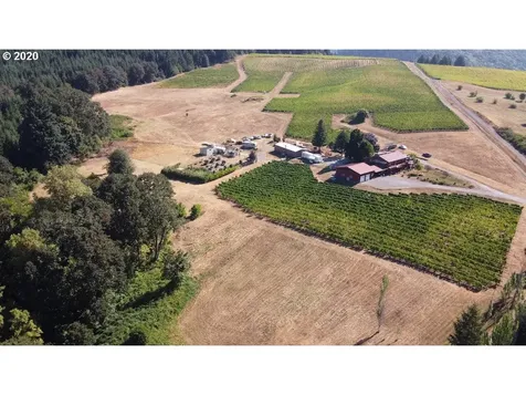 24810 NW Turner Creek Road Yamhill OR 97148