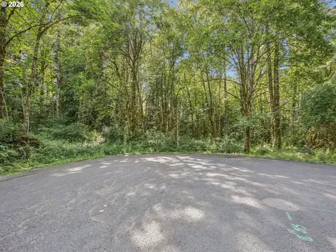 64601 E Brightwood Loop Road Brightwood OR 97011