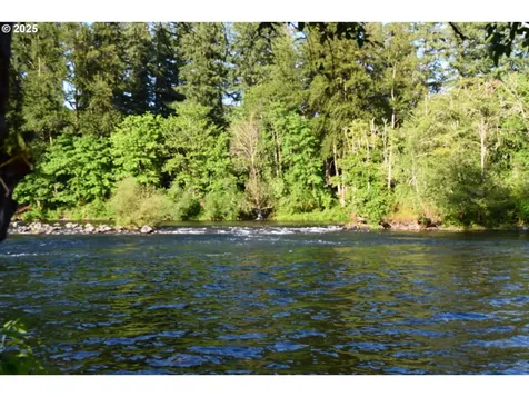 44561 Mckenzie Highway Leaburg OR 97489