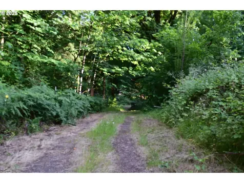 44561 Mckenzie Highway Leaburg OR 97489