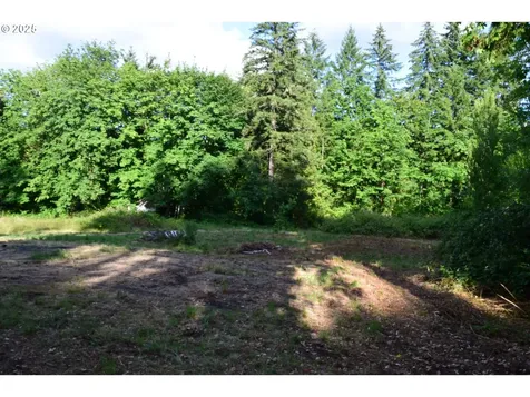 44561 Mckenzie Highway Leaburg OR 97489