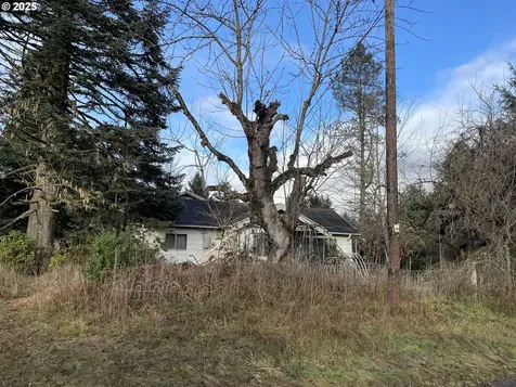 52625 NW Scofield Road Buxton OR 97109