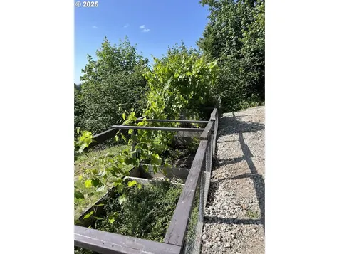 25510 NE 230th Street Battle Ground WA 98604