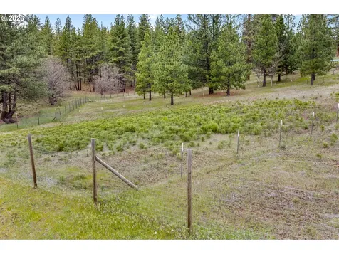 163 Goldenpine Goldendale WA 98620
