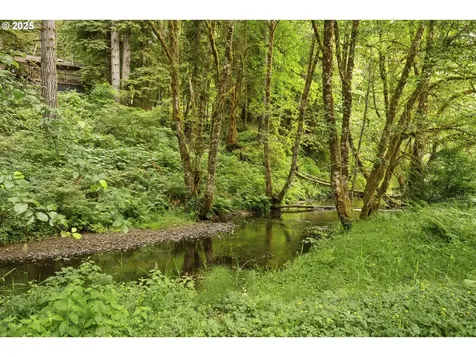 10304 Field Crest Drive Birkenfeld OR 97016