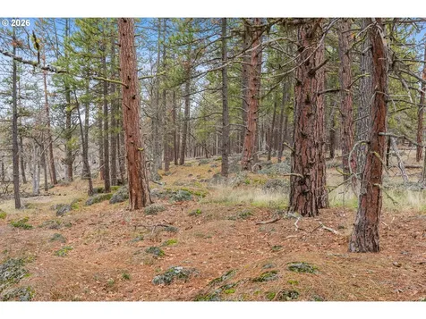 Nka Little Oak Lane Goldendale WA 98620
