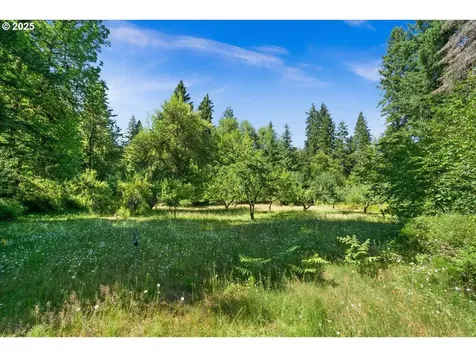 58057 Timber Road Vernonia OR 97064