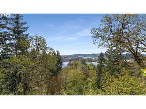 115 Legacy Drive Woodland WA 98674