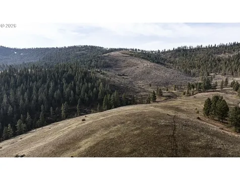 MAP01N420 Taxlot4907 Wallowa OR 97885