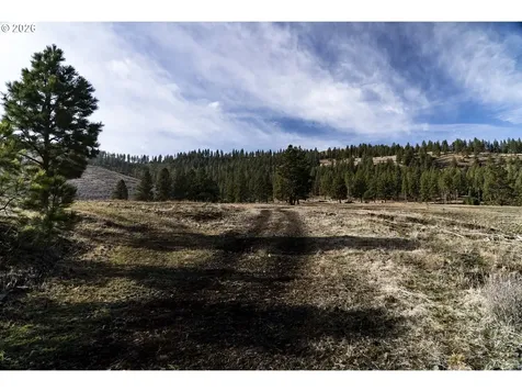 MAP01N420 Taxlot4907 Wallowa OR 97885