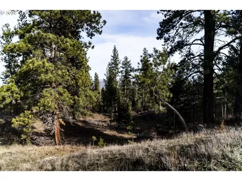 MAP01N420 Taxlot4907 Wallowa OR 97885