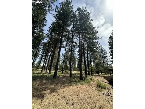 455 Old Mountain Road Goldendale WA 98620