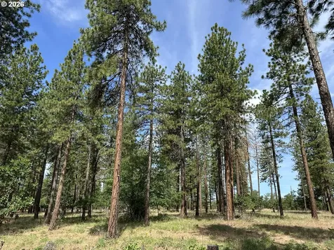 455 Old Mountain Road Goldendale WA 98620